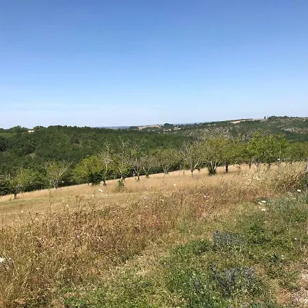 Chalet En Stilte In Bijzondere Omgeving Thezac (Lot-et-Garonne)